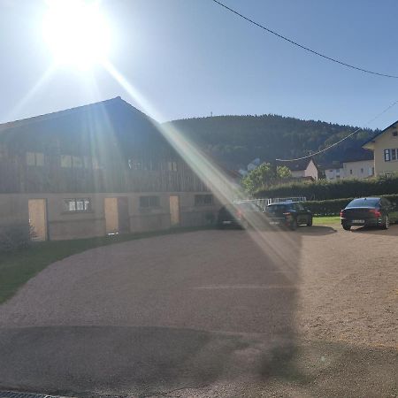 Le Cozy Nest Apartment Gerardmer Exterior photo